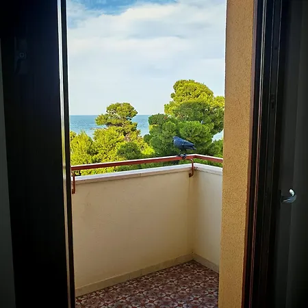 Fronte Mare * Montesilvano Marina